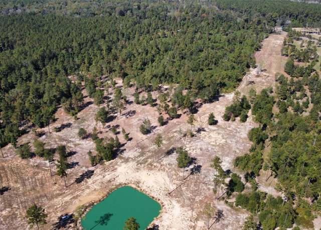 Property at 17224 Fm 943, Livingston, TX 77351