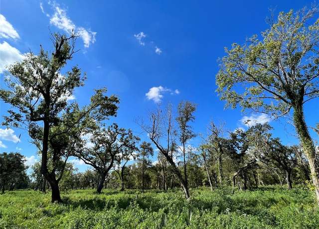 Property at LOT 2 County Road 506, Brazoria, TX 77422