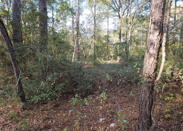Property at 0000 Pinecone Ln Ln, Plantersville, TX 77363