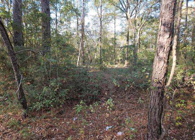 Property at 0000 Pinecone Ln Ln, Plantersville, TX 77363