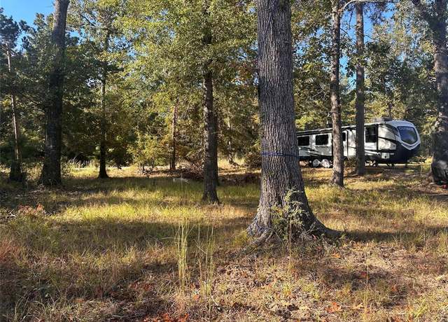 Property at 476 E Woodland Shores Dr, Point Blank, TX 77364