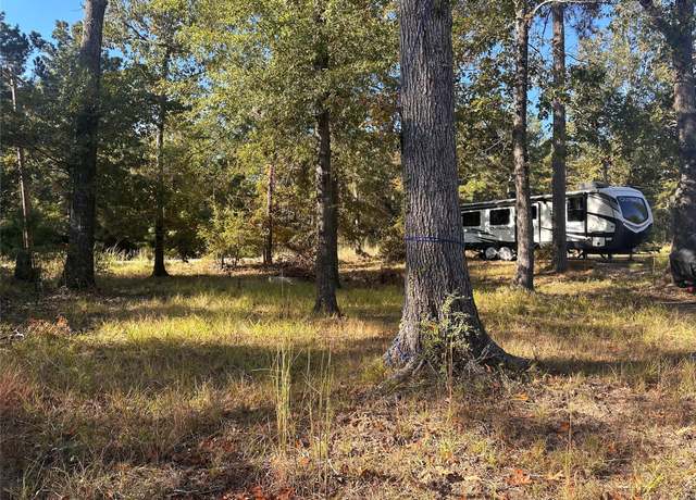 Property at 476 E Woodland Shores Dr, Point Blank, TX 77364