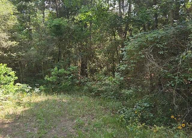 Property at Lot 4 Cedar Ct, Plantersville, TX 77363