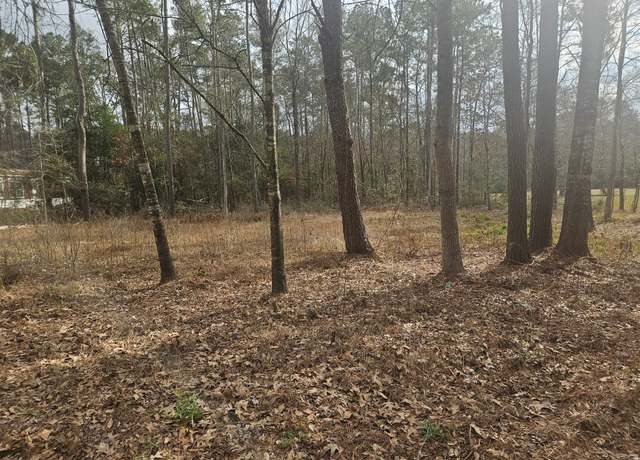 Property at 289 L Denson Rd, Coldspring, TX 77331