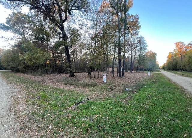 Property at 0 Mossy Dr, Livingston, TX 77351