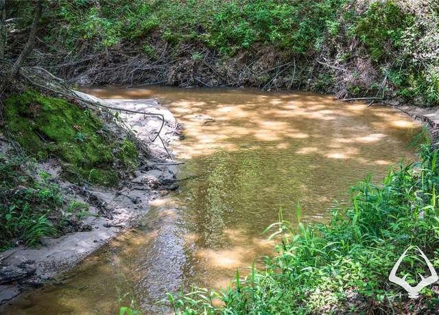 Property at 00 FM 83, Bronson, TX 75930