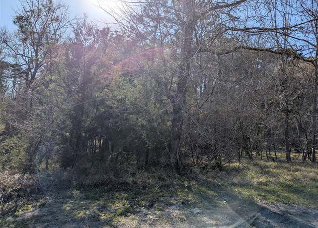 Property at 2 S Forest Cove Loop, Coldspring, TX 77331