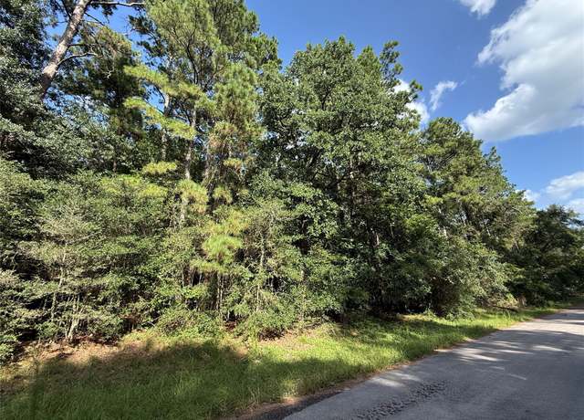 Property at TBD Grand Flower Dr, Plantersville, TX 77363