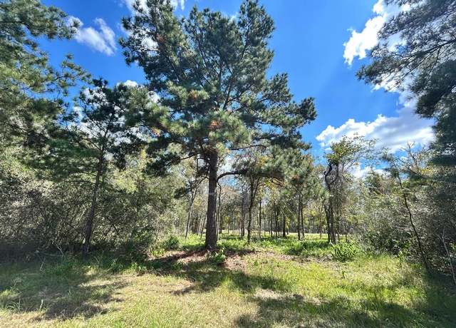 Property at 29699 West Mcclellan Ct, Hempstead, TX 77445