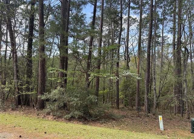 Property at 94 Green Tree Dr, Coldspring, TX 77331