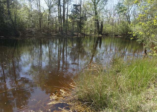 Property at 0 County Road 1870, Grapeland, TX 75844
