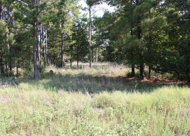 Property at Lot 4 Morris Ln, Huntsville, TX 77320