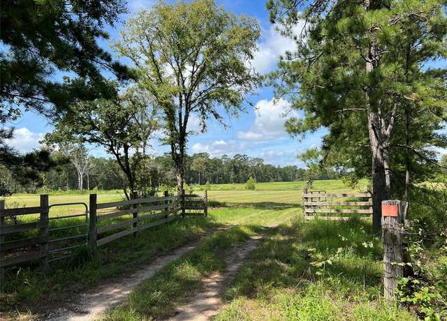 Property at 18288 FM 1774, Plantersville, TX 77363, 1 bed, 1 bath