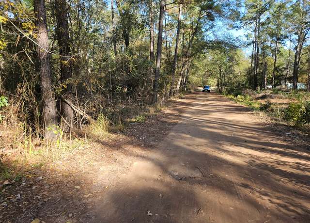 Property at 0003 Pinecone Ln, Plantersville, TX 77363