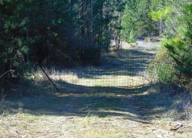 Property at 00 Cr 403, San Augustine, TX 75972