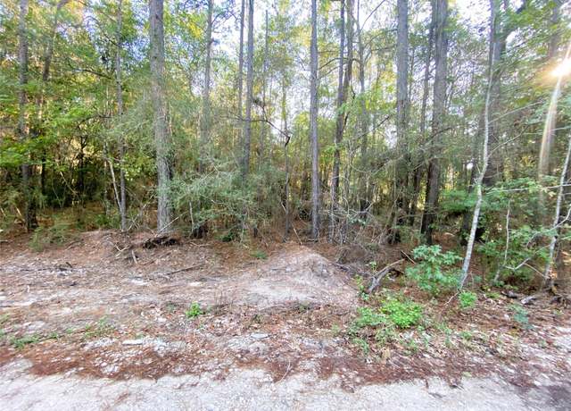 Property at 19065 Lincoln St, New Caney, TX 77357