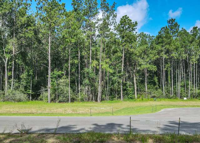Property at 4816 Red Coyote Ln, Montgomery, TX 77316