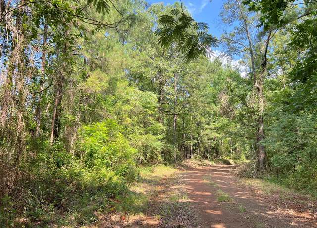 Property at 03 Off Highway 21, Geneva, TX 75959
