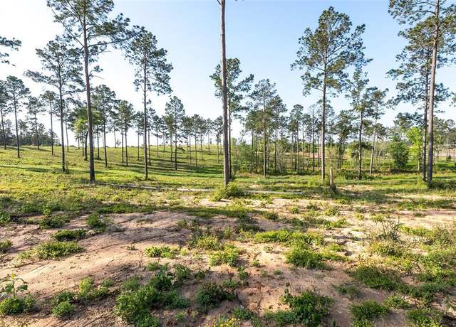Property at 0 Tranquility Rd, Livingston, TX 77351