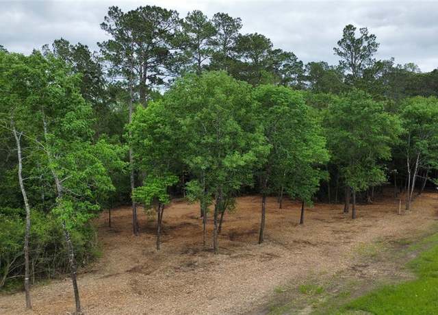 Property at TBD Fm-1486, Richards, TX 77873