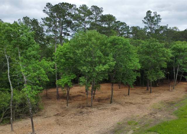 Property at TBD Fm-1486, Richards, TX 77873