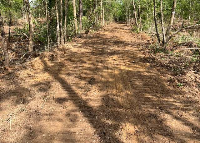Property at TBD Private Road 8327, Woodville, TX 75979