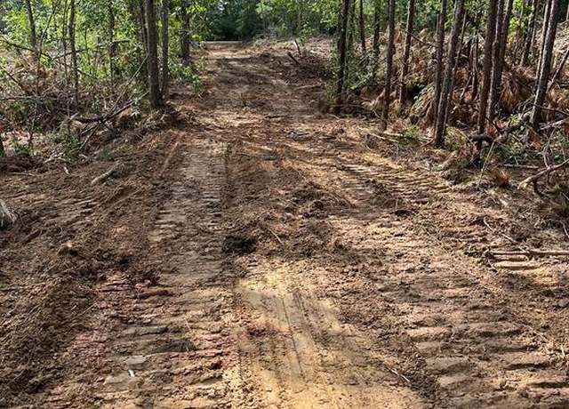 Property at TBD Private Road 8327, Woodville, TX 75979