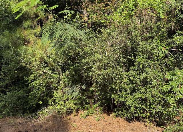 Property at TBD Hillshire Pl, Plantersville, TX 77363