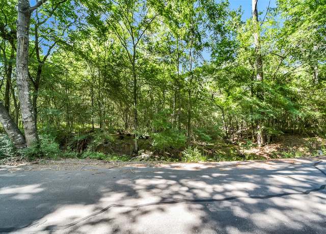 Property at 0 Frontier Rd, Stagecoach, TX 77355