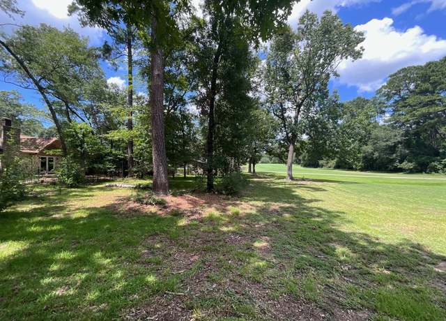 Property at 119 Sun City Ln, Conroe, TX 77304