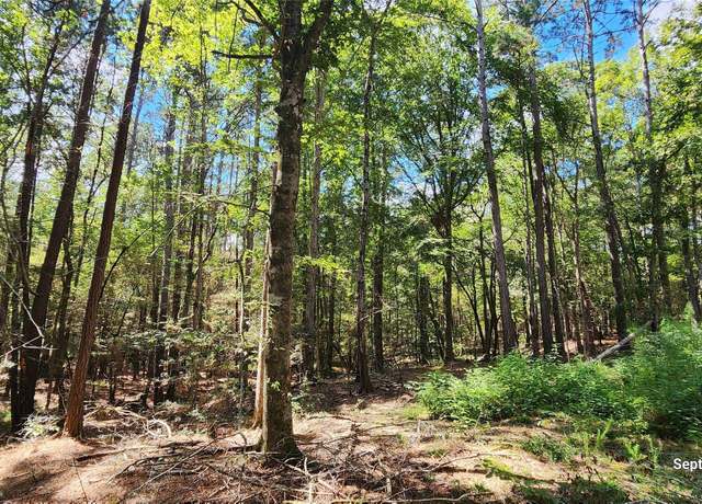 Property at TBD County Road 405, San Augustine, TX 75972