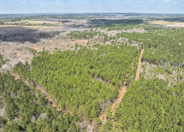 Property at 0 Sid Dennis Ln, San Augustine, TX 75972