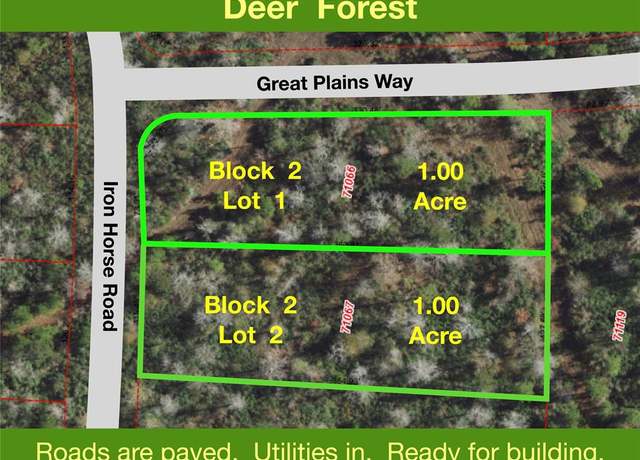 Property at 294 Iron Horse Rd, New Waverly, TX 77358