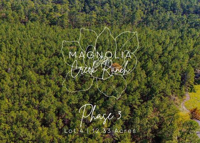 Property at 034 Magnolia Ranch Rd, Onalaska, TX 77360