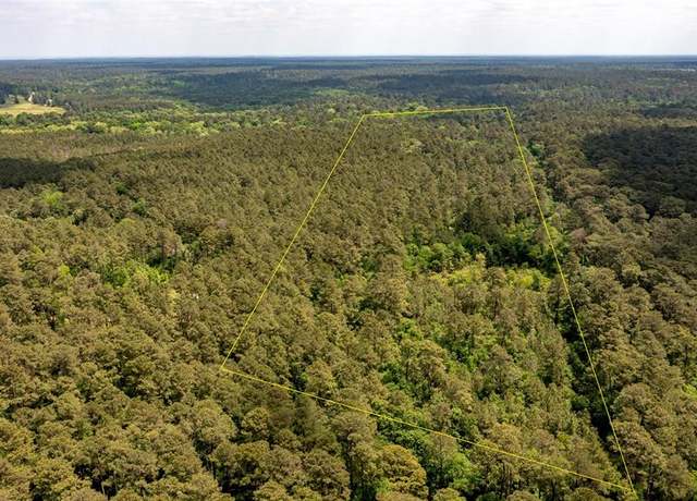 Property at TBD N Butch Arther Rd, Coldspring, TX 77331