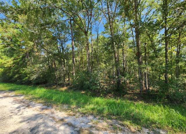 Property at TBD County Road 6383, Dayton, TX 77535