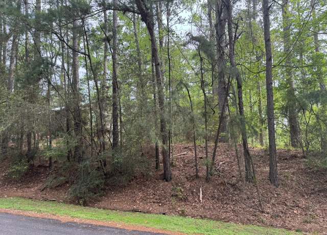 Property at 26 Sunny Hill Dr, Coldspring, TX 77331