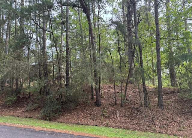 Property at 26 Sunny Hill Dr, Coldspring, TX 77331