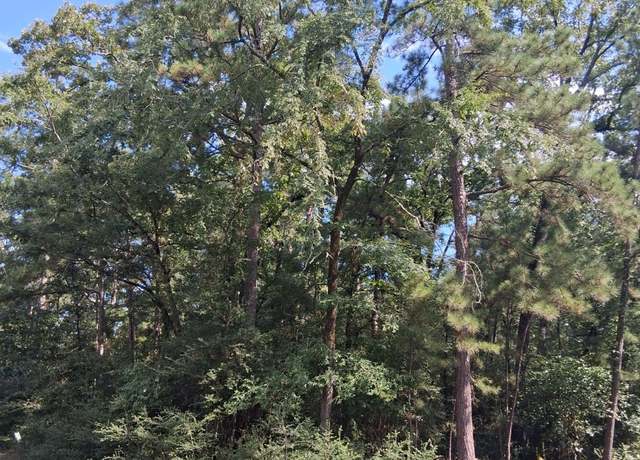 Property at TBD Rantoul, Huntsville, TX 77320