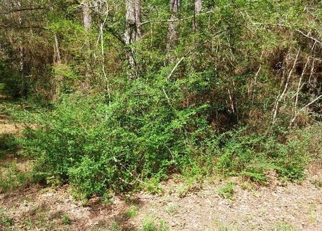 Property at TBD 00 Hummingbird Ln, Hempstead, TX 77445