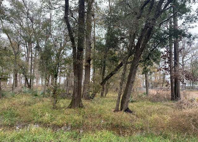 Property at 0 Pinemont Dr Dr, Guy, TX 77444