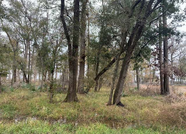 Property at 0 Pinemont Dr Dr, Guy, TX 77444