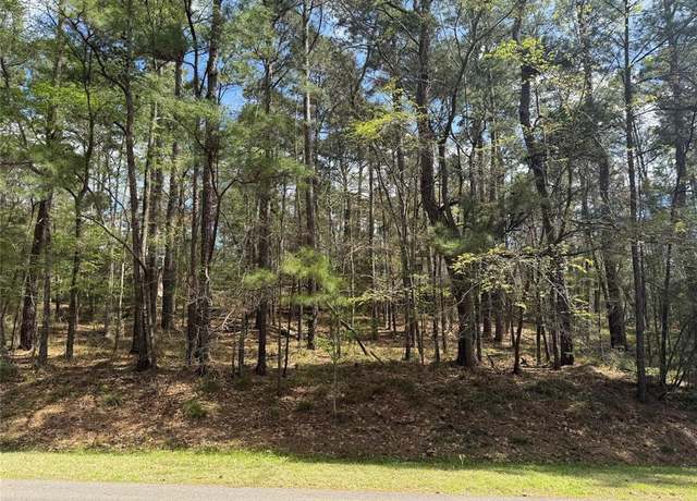 Property at 107 Green Tree Dr, Coldspring, TX 77331