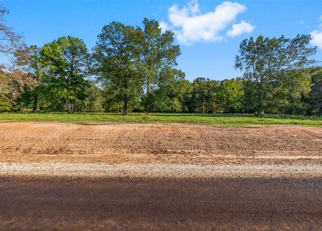 Property at 6034 Alans Memorial Ln, New Waverly, TX 77358