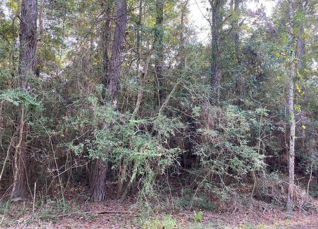 Property at 3 & 4 Live Oak Dr, Trinity, TX 75862