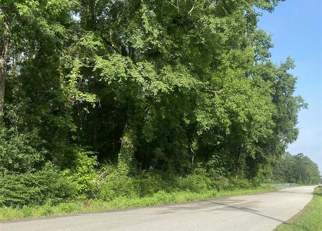 Property at TBD Independence Dr, Shepherd, TX 77371