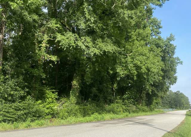 Property at TBD Independence Dr, Shepherd, TX 77371
