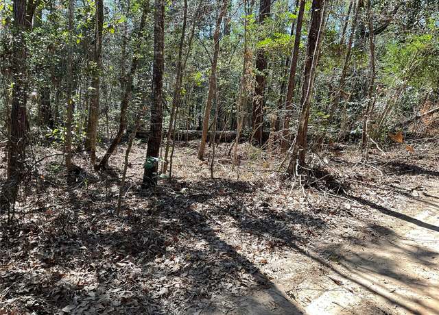Property at 0 Road 2642, Thicket, TX 77374
