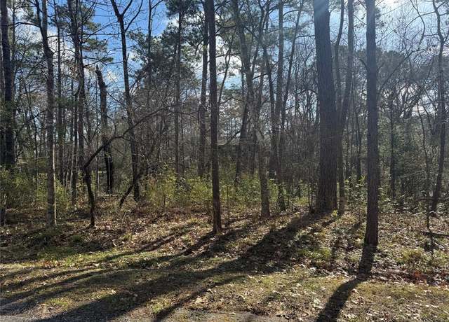 Property at 11 & 15 S Pine Harbour Dr, Coldspring, TX 77331