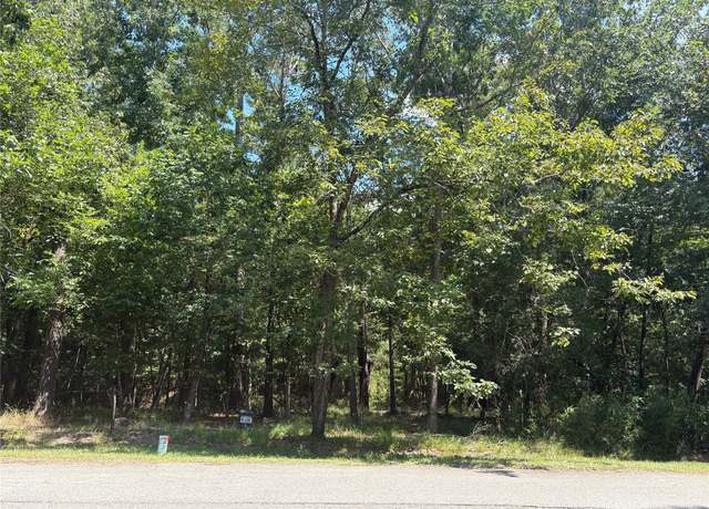 Property at 11 & 15 S Pine Harbour Dr, Coldspring, TX 77331